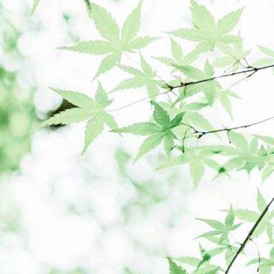 保卫大富翁游戏下载