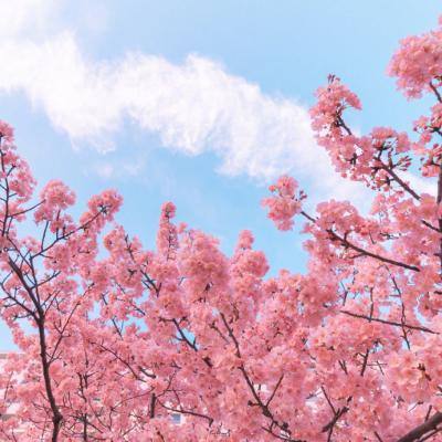小小伊利丹手游(暂未上线)v1.0.7 安卓版